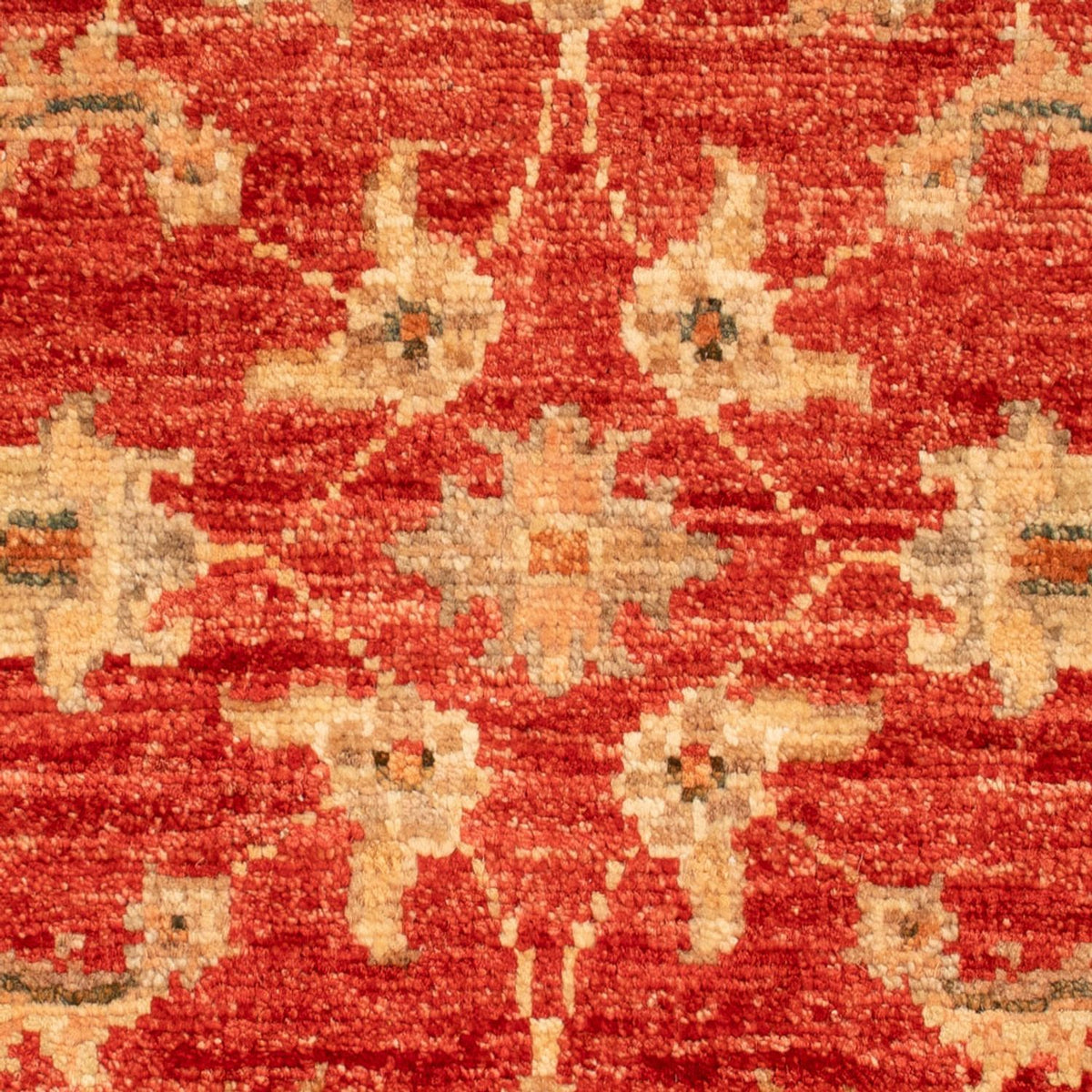 Ziegler Carpet - 70 x 56 cm - röd