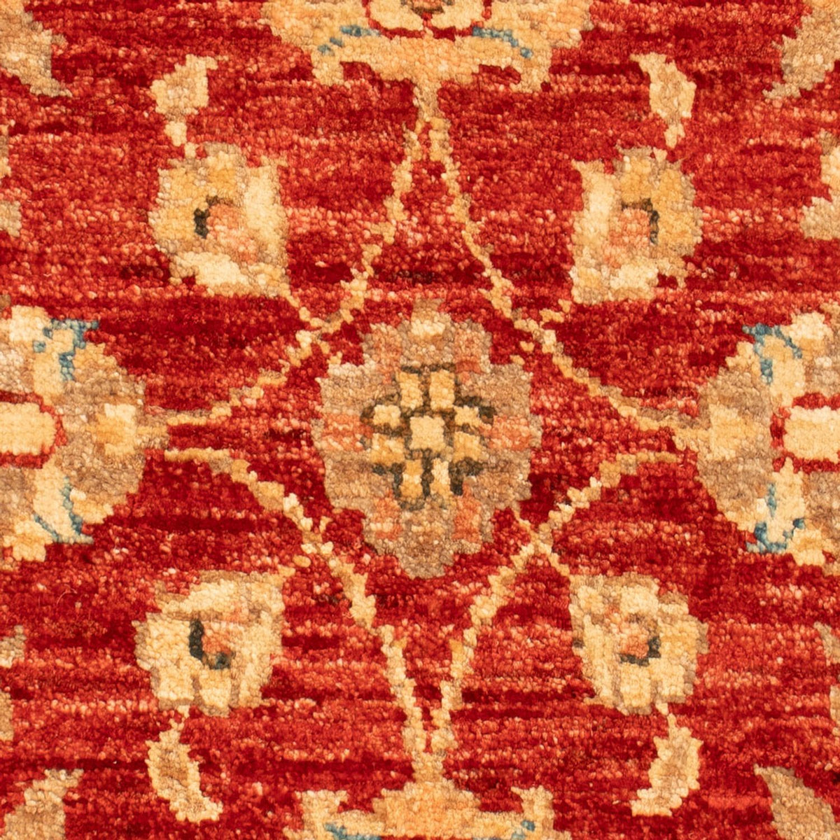 Ziegler Carpet - 65 x 53 cm - röd
