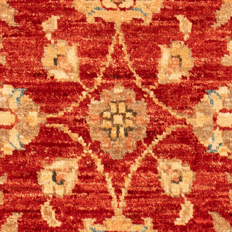 Ziegler Carpet - 65 x 53 cm - röd