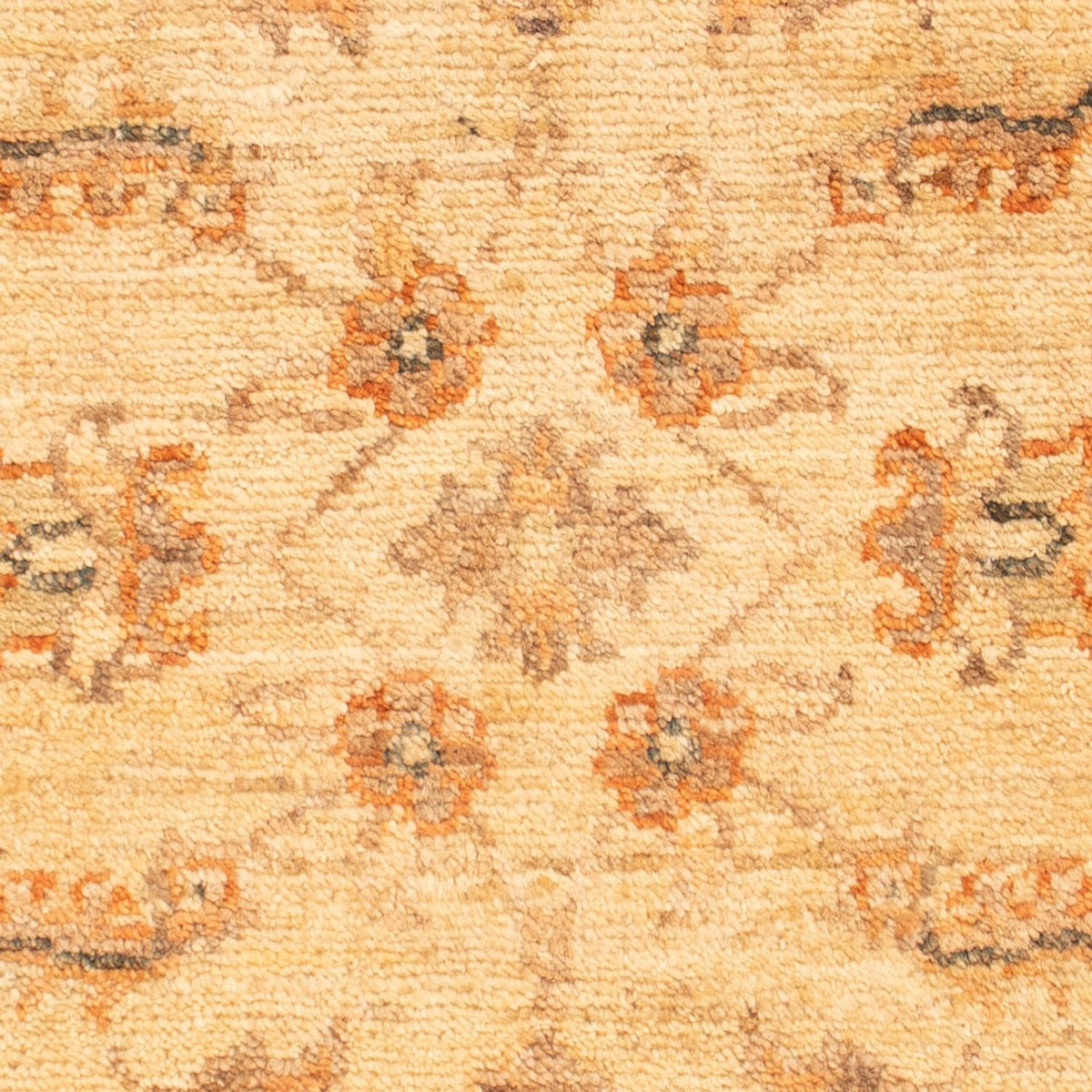 Ziegler Carpet - 70 x 52 cm - beige