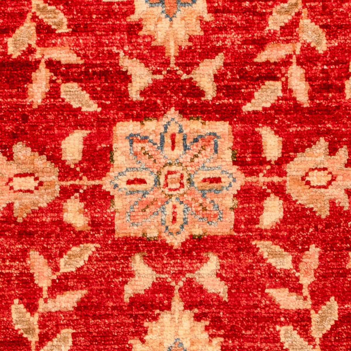Ziegler Carpet - 70 x 54 cm - röd