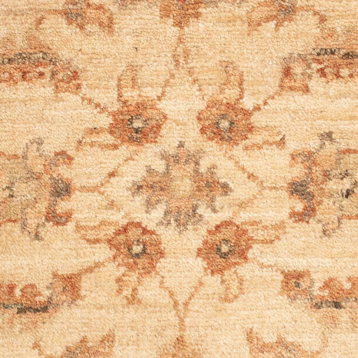 Ziegler Carpet - 65 x 50 cm - beige