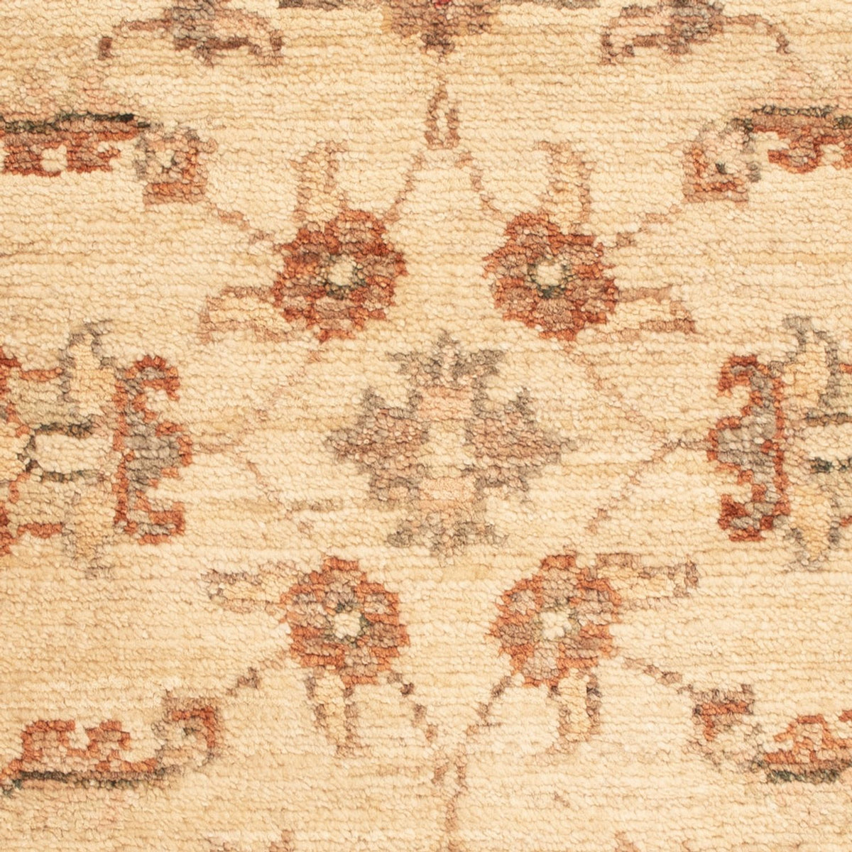 Ziegler Carpet - 65 x 50 cm - beige