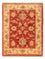 Ziegler Carpet - 67 x 53 cm - röd