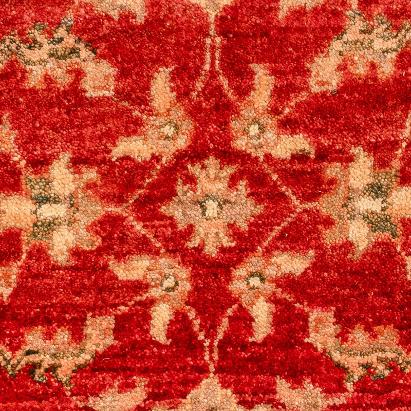 Ziegler Carpet - 70 x 53 cm - röd