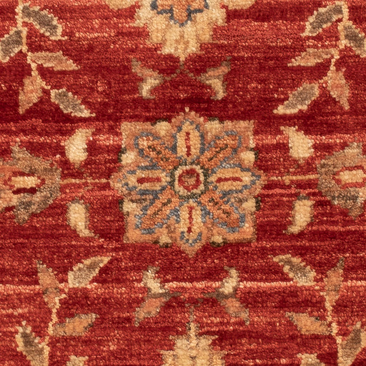 Ziegler Carpet - 63 x 52 cm - röd