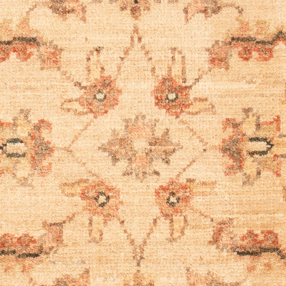 Ziegler Carpet - 70 x 50 cm - beige