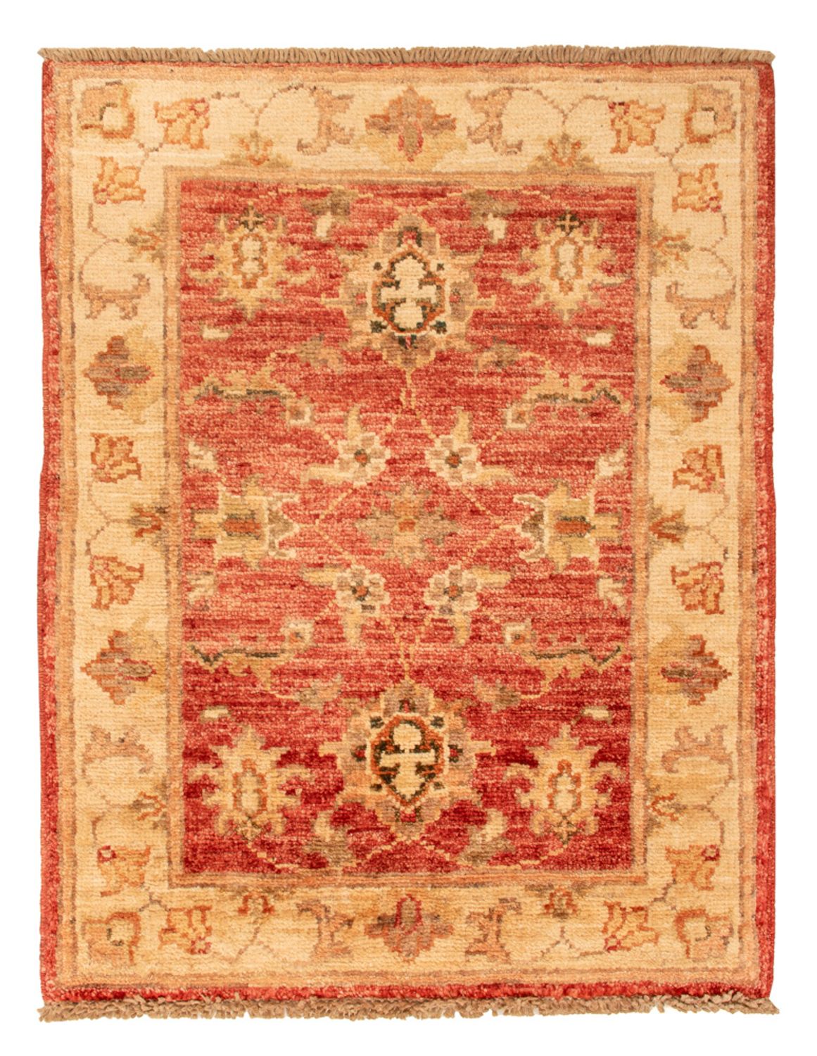 Ziegler Carpet - 66 x 49 cm - röd