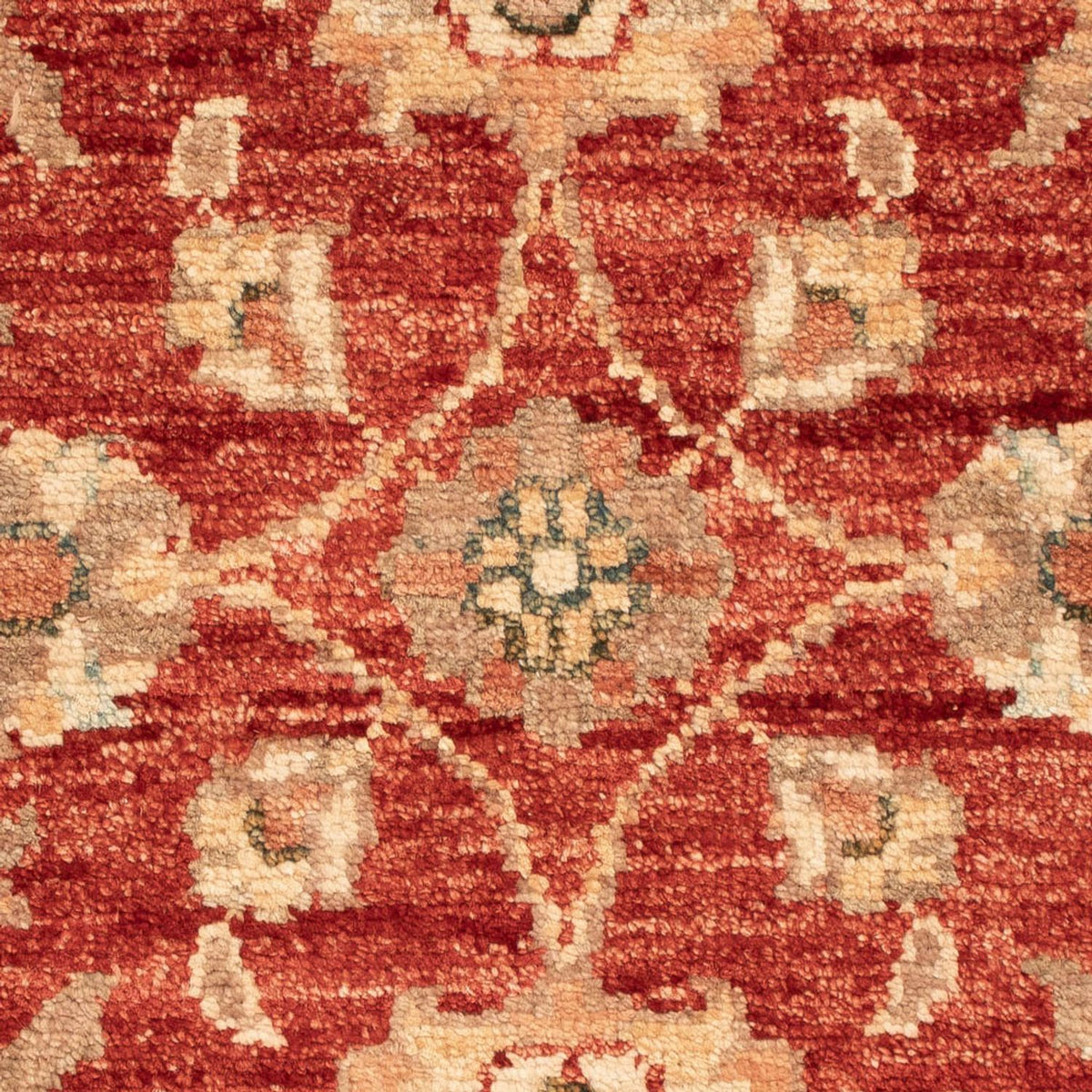 Ziegler Carpet - 70 x 53 cm - röd