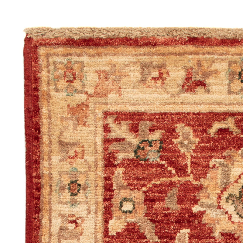 Ziegler Carpet - 70 x 53 cm - röd