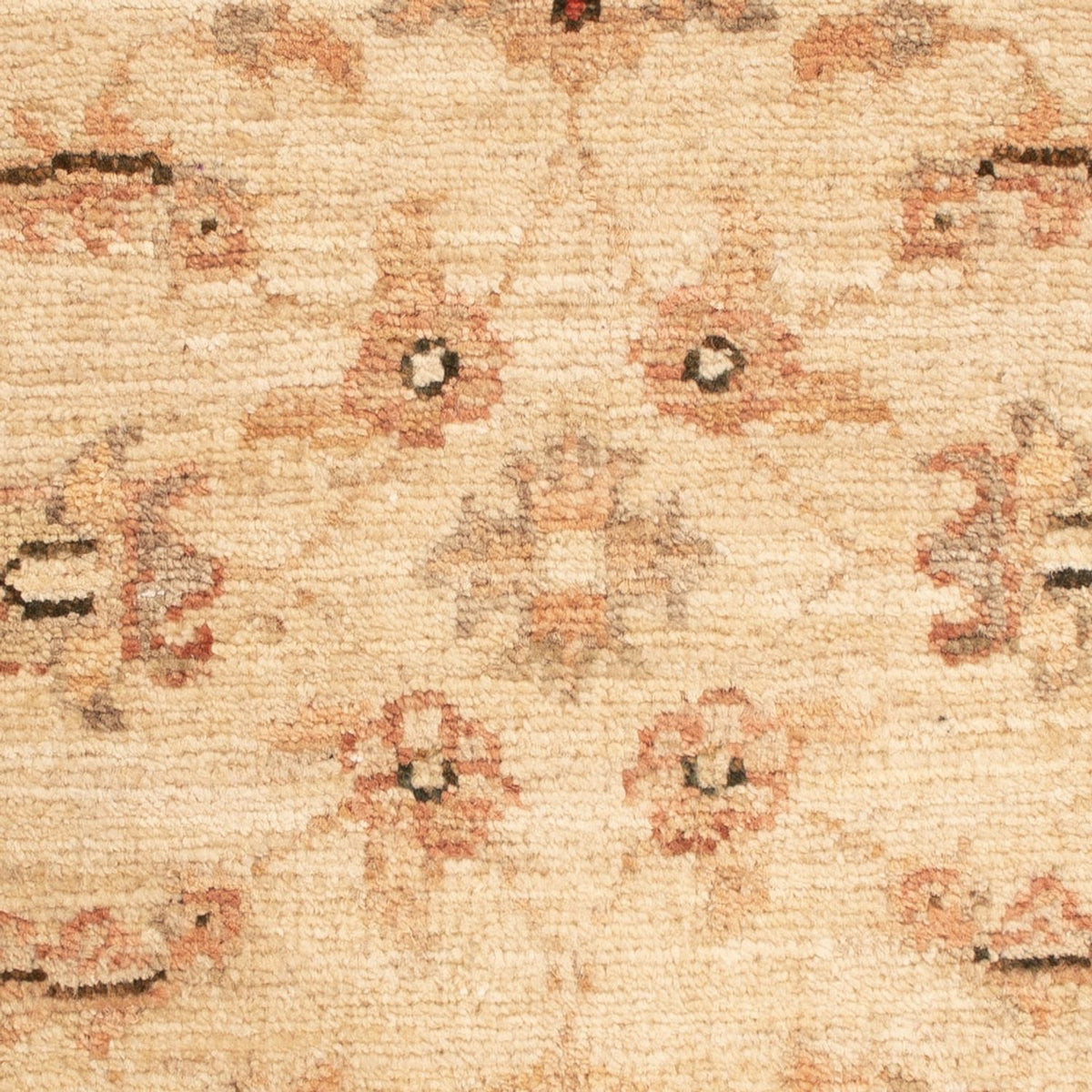 Ziegler Carpet - 62 x 52 cm - beige