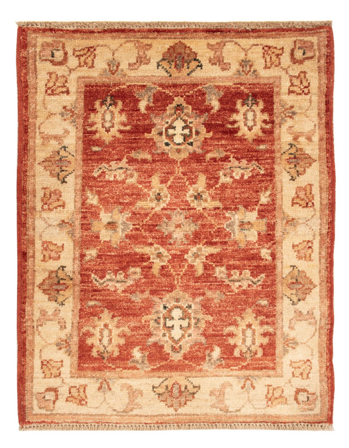 Ziegler Carpet - 70 x 53 cm - röd