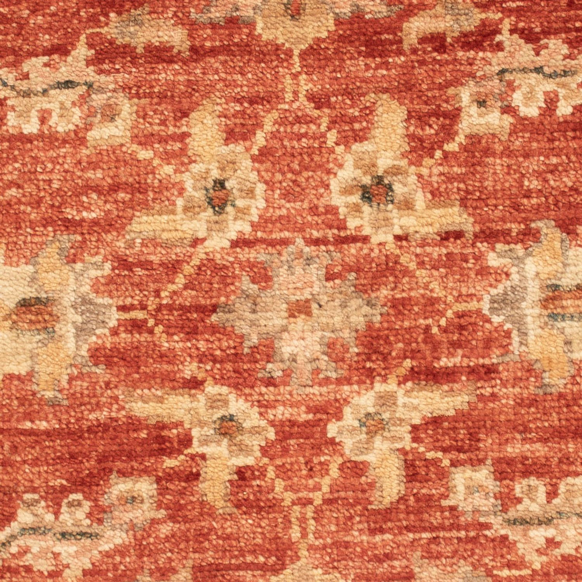 Ziegler Carpet - 70 x 53 cm - röd