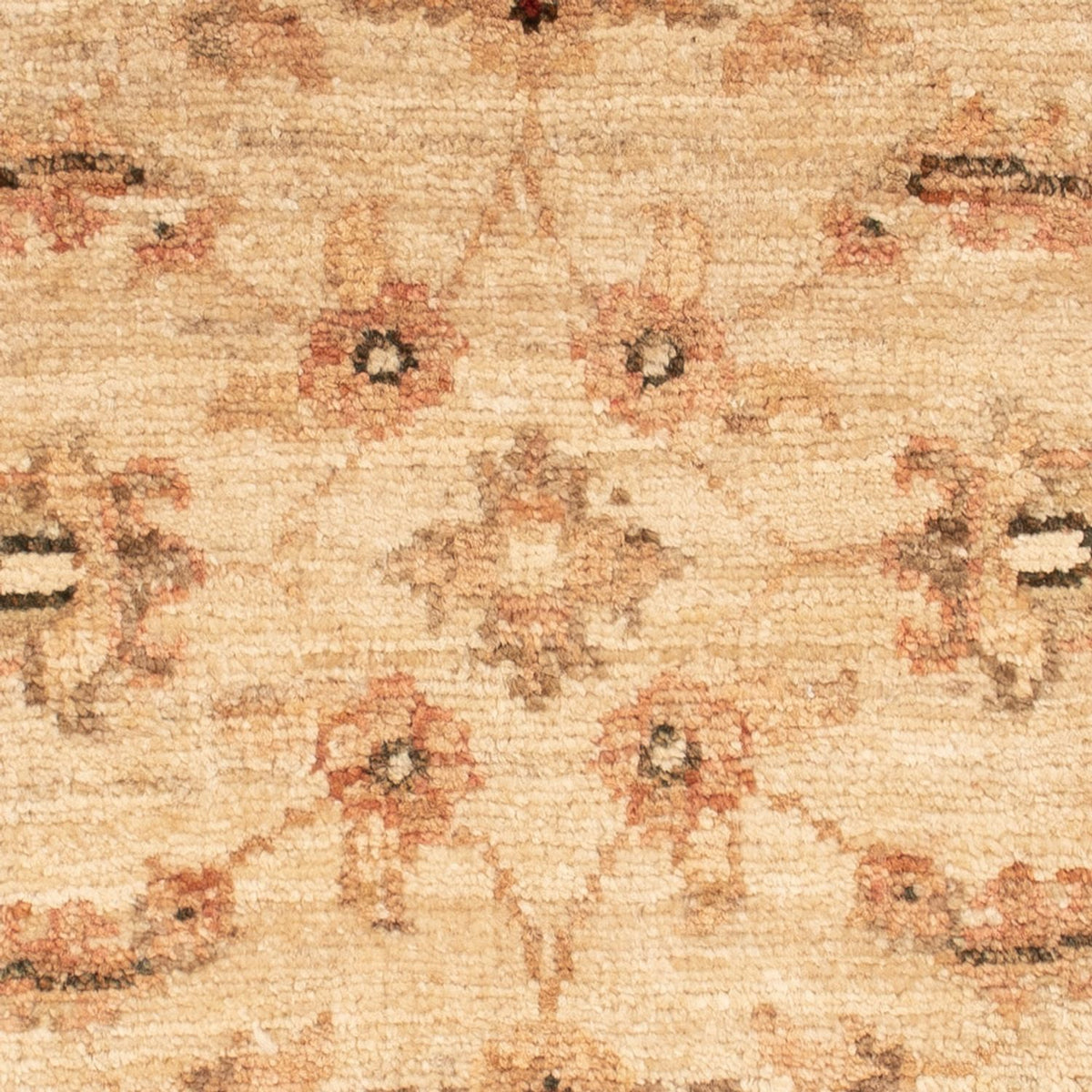 Ziegler Carpet - 62 x 50 cm - beige