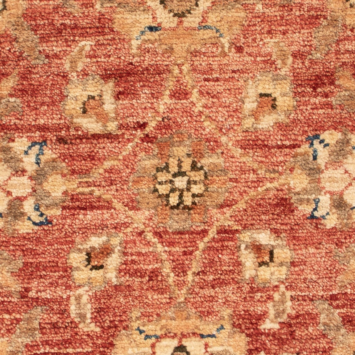 Ziegler Carpet - 72 x 50 cm - rost