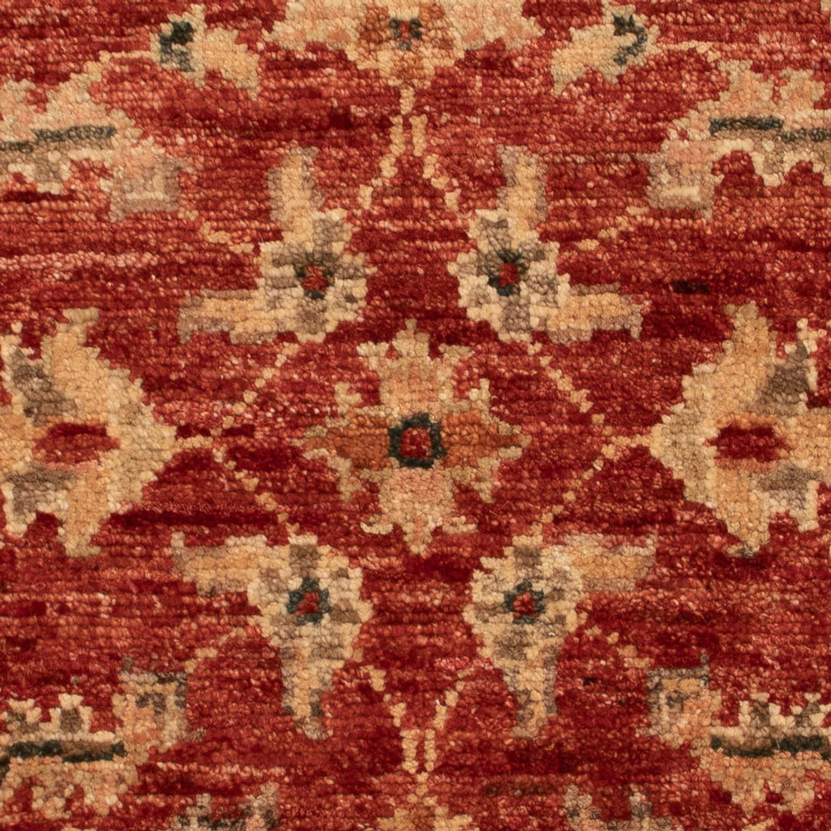 Ziegler Carpet - 70 x 50 cm - röd