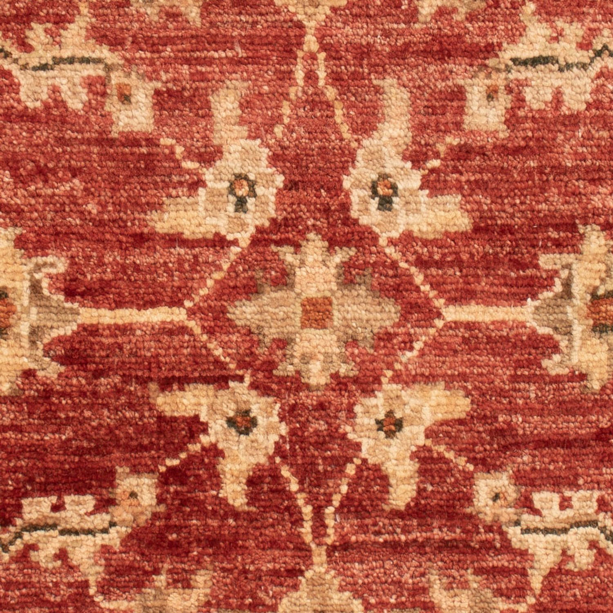 Ziegler Carpet - 67 x 53 cm - röd