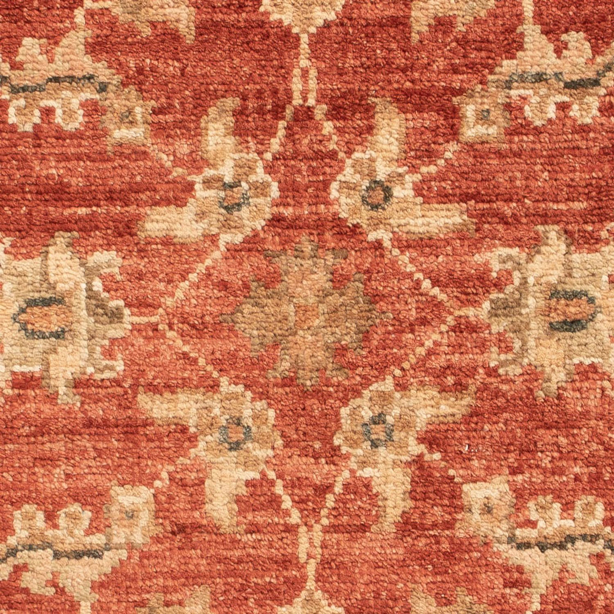 Ziegler Carpet - 72 x 51 cm - röd