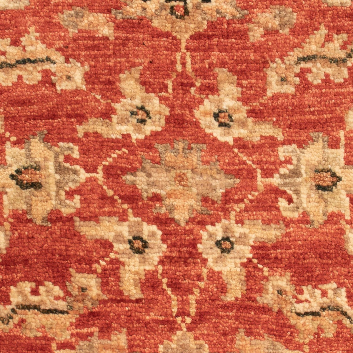 Ziegler Carpet - 66 x 47 cm - röd