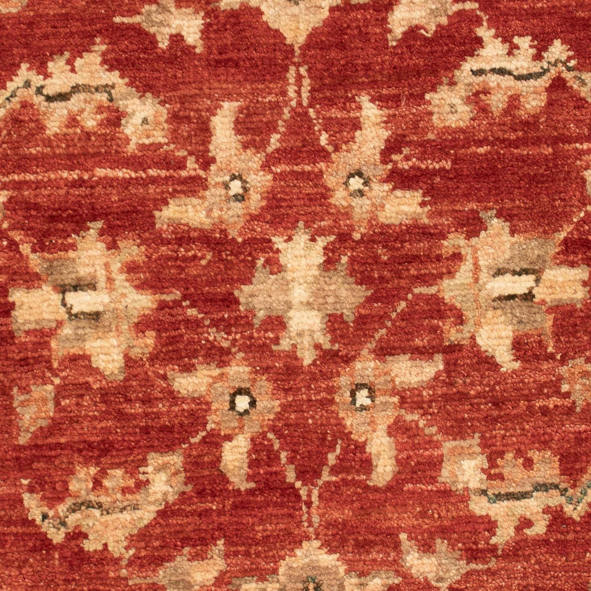 Ziegler Carpet - 74 x 54 cm - röd