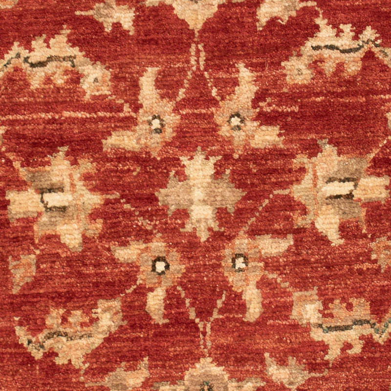 Ziegler Carpet - 74 x 54 cm - röd