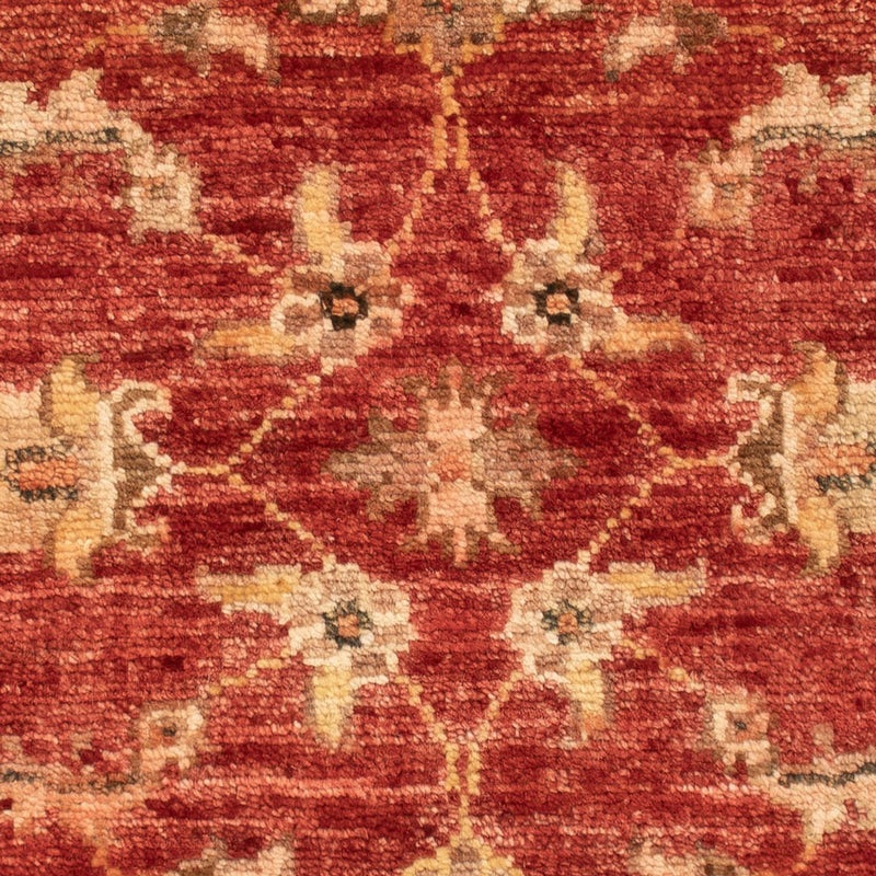 Ziegler Carpet - 65 x 53 cm - röd