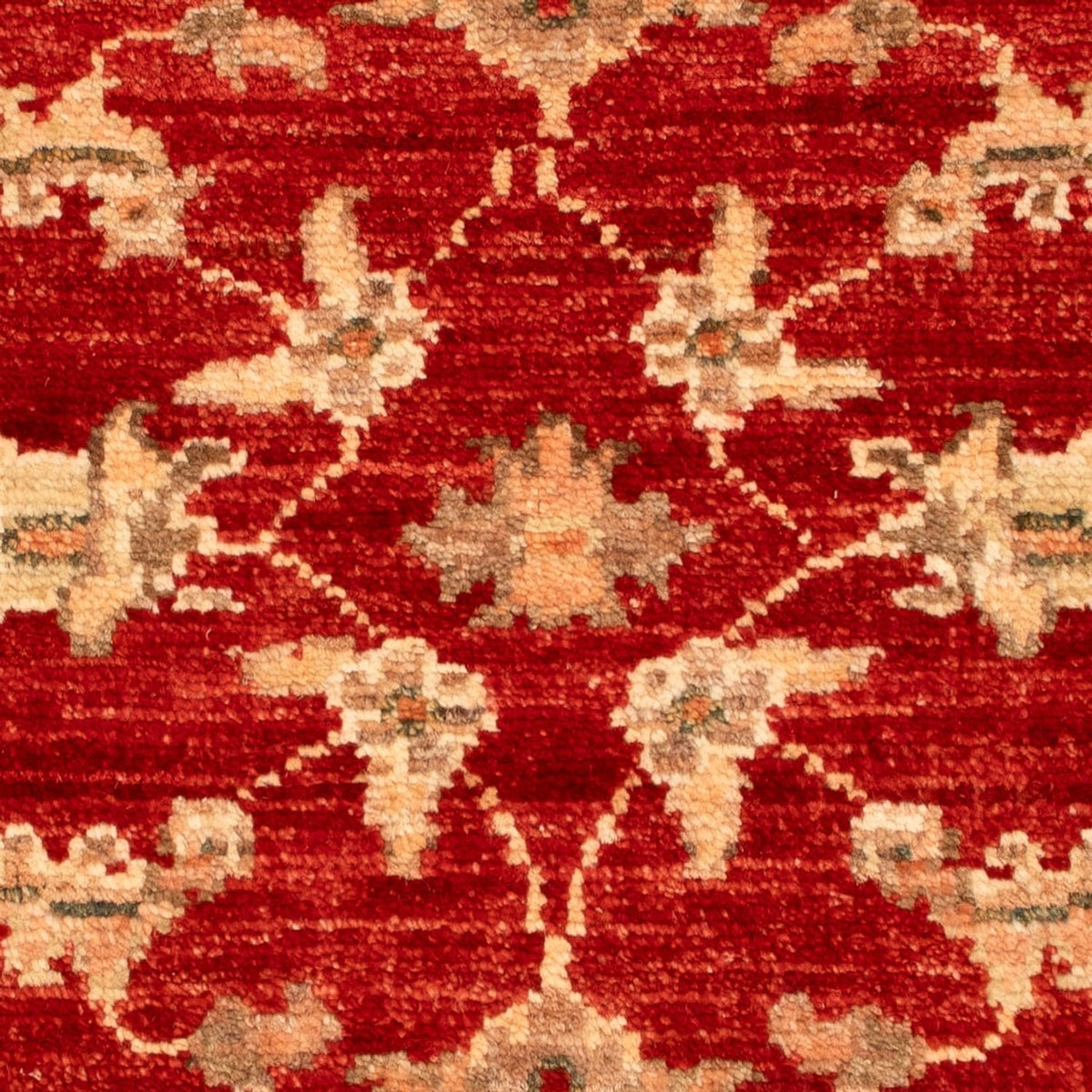 Ziegler Carpet - 68 x 51 cm - röd