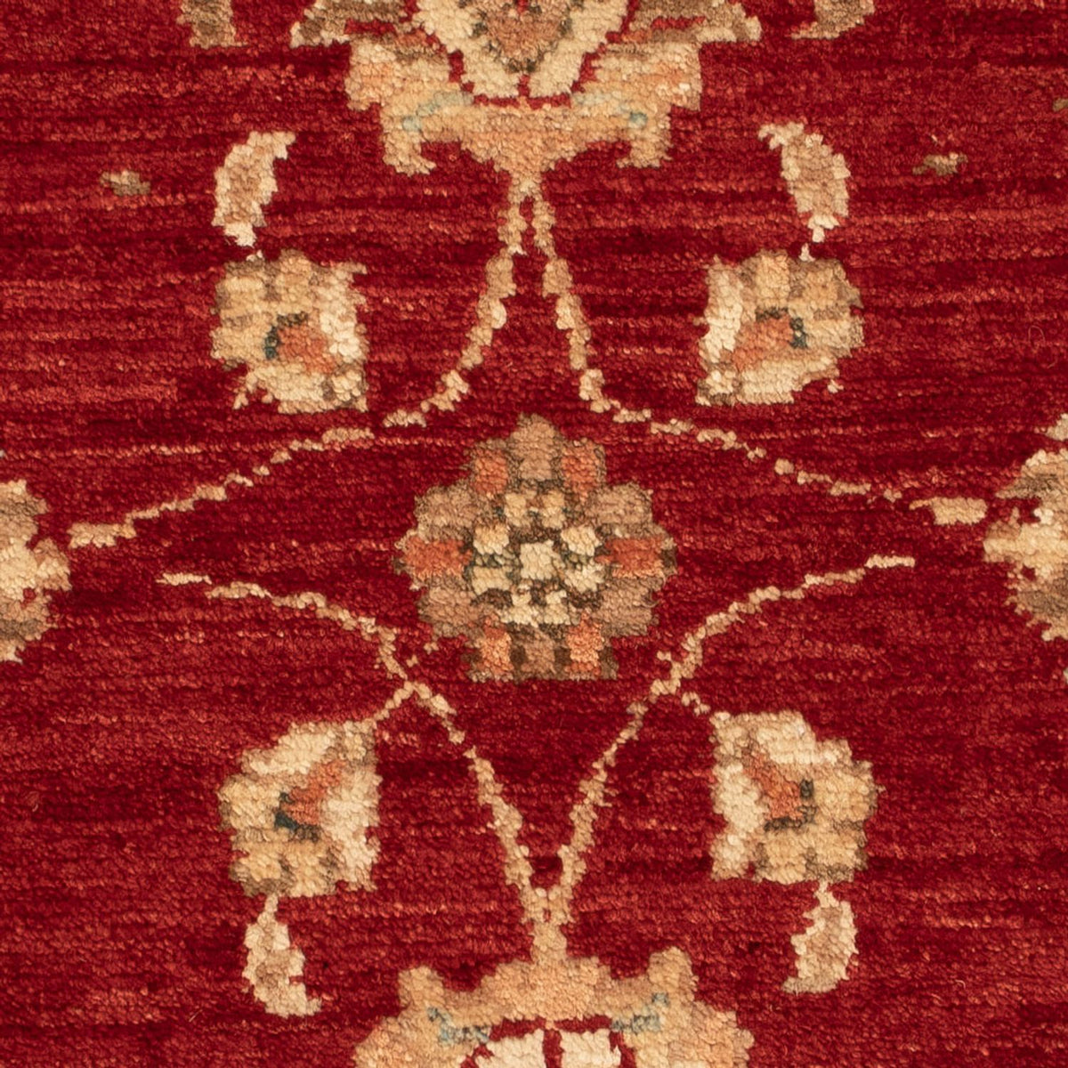 Ziegler Carpet - 70 x 54 cm - bordeaux röd