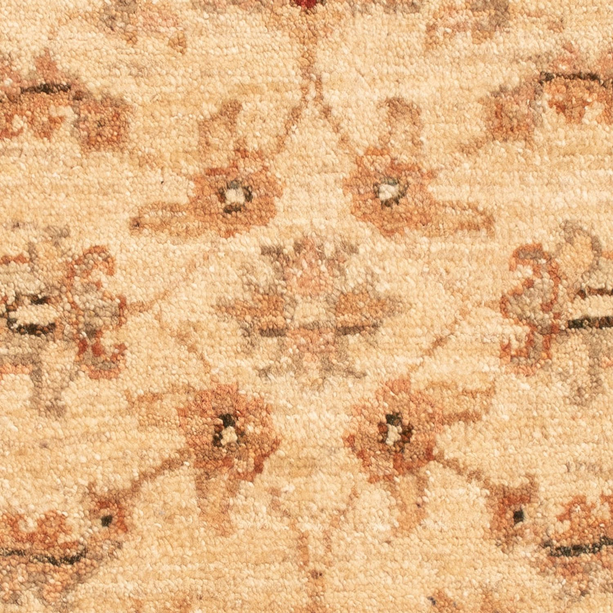 Ziegler Carpet - 66 x 51 cm - beige