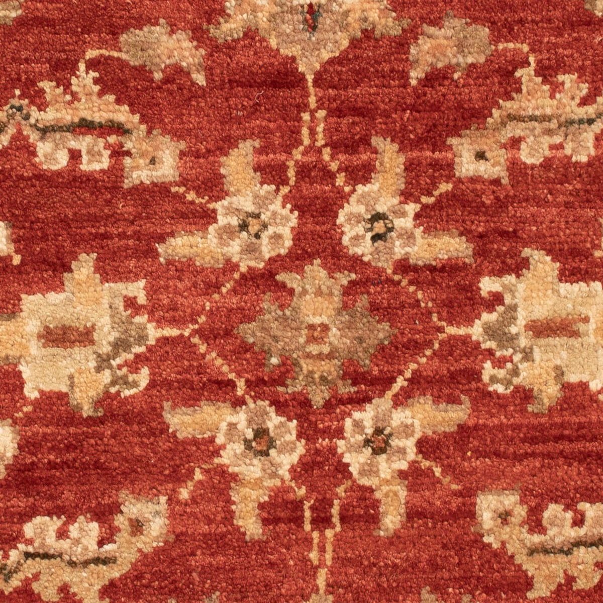 Ziegler Carpet - 68 x 50 cm - röd