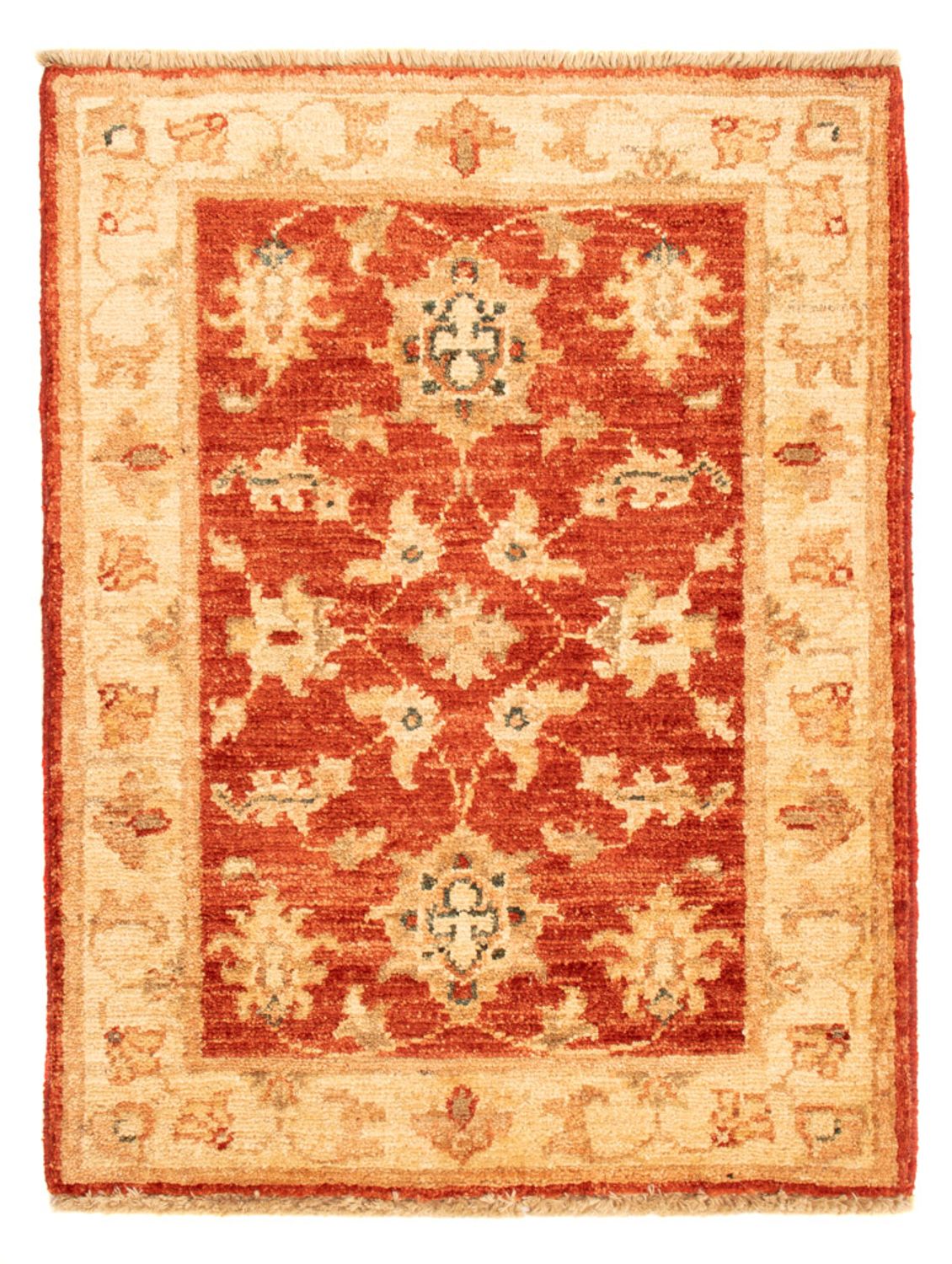 Ziegler Carpet - 70 x 53 cm - röd