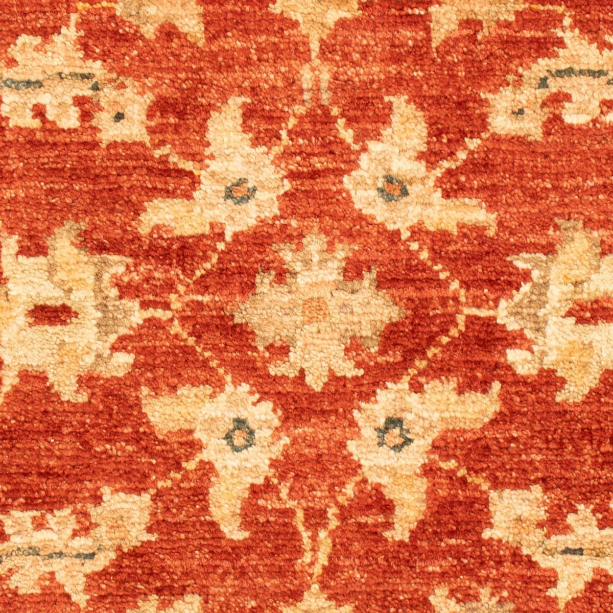Ziegler Carpet - 70 x 53 cm - röd