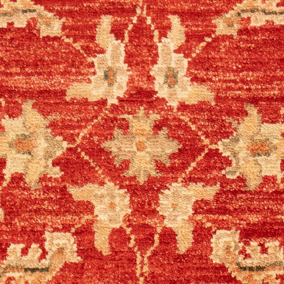 Ziegler Carpet - 69 x 52 cm - röd