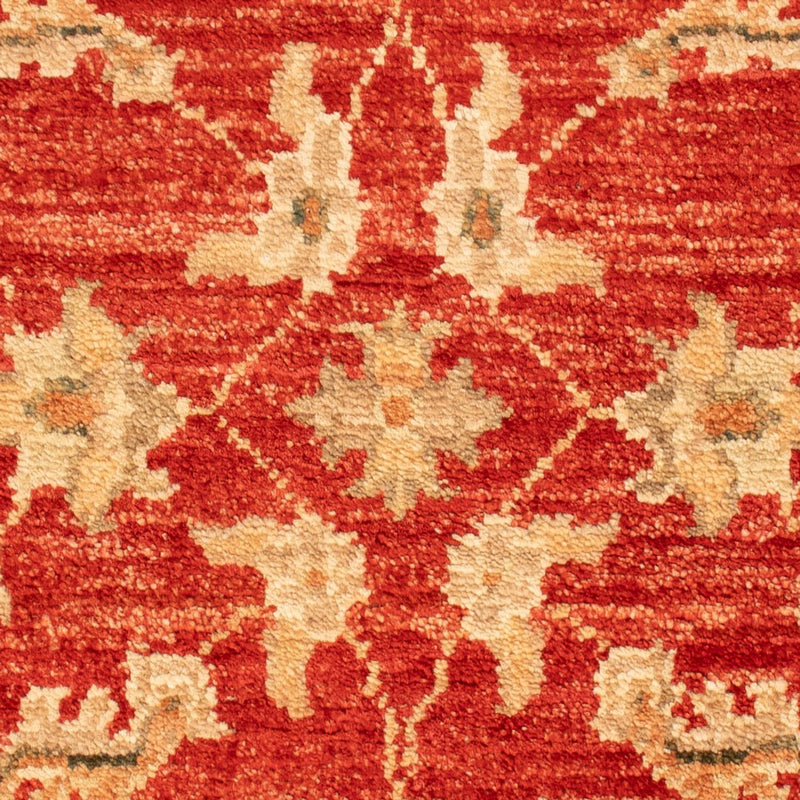 Ziegler Carpet - 69 x 52 cm - röd