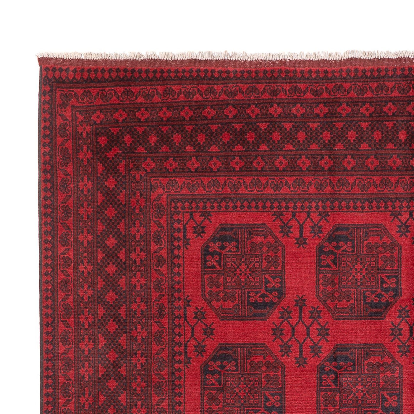 Akhche Mattan 346x246cm - Oriental Carpet