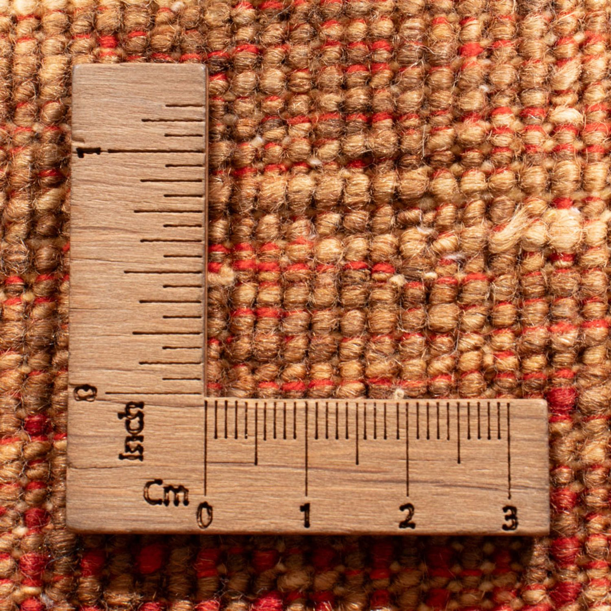 Runner Ziegler Carpet - Ariana - 496 x 86 cm - flerfärgad