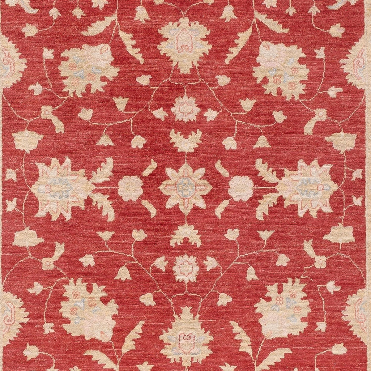 Runner Ziegler Carpet - 409 x 149 cm - röd