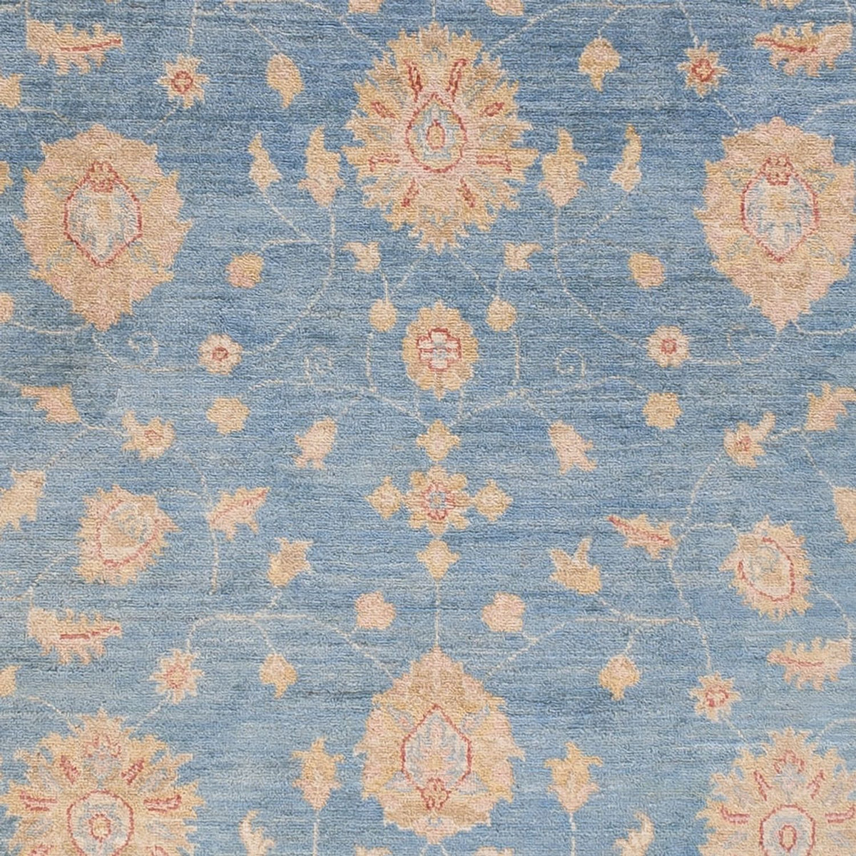 Runner Ziegler Carpet - 485 x 143 cm - ljusblå