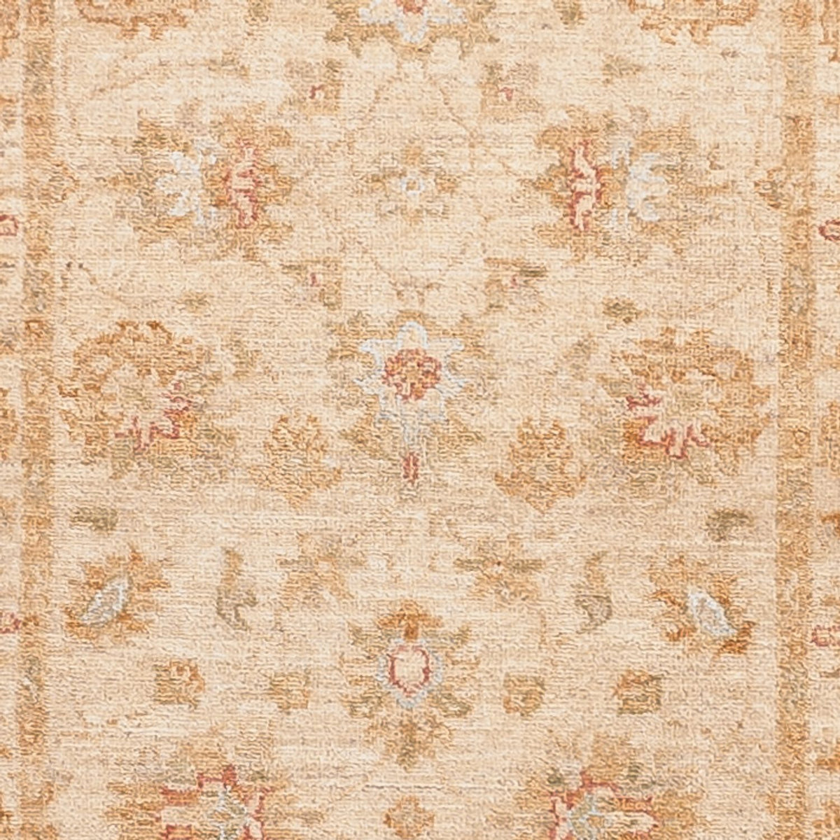 Runner Ziegler Carpet - 481 x 75 cm - beige