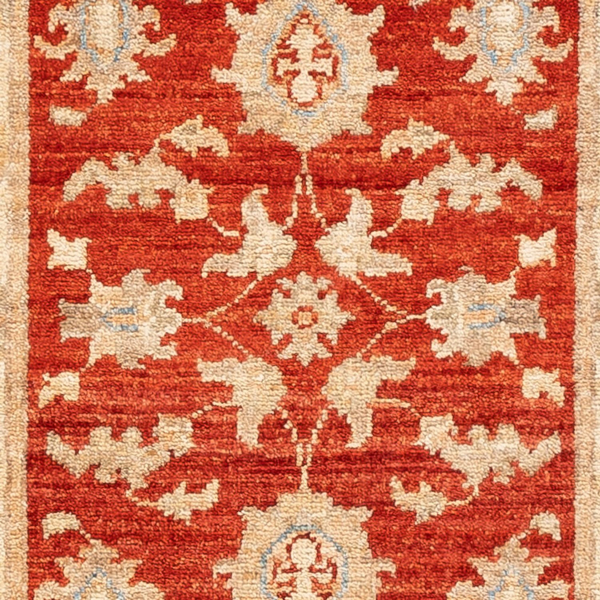 Runner Ziegler Carpet - 143 x 52 cm - röd