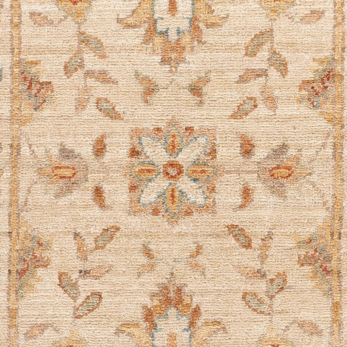 Runner Ziegler Carpet - 150 x 49 cm - beige