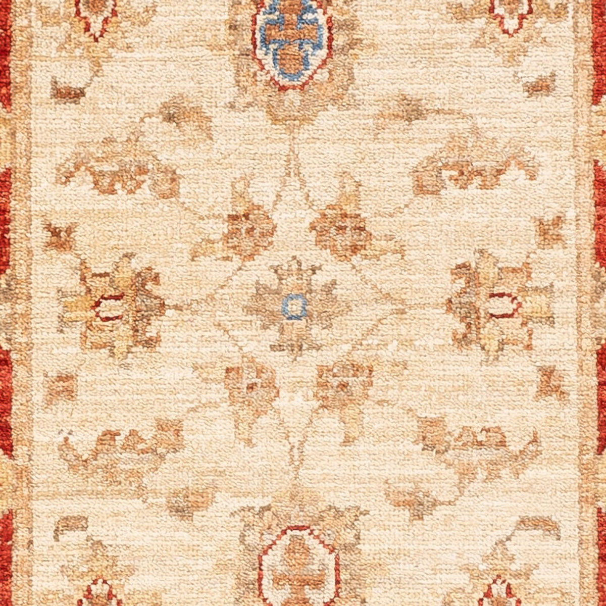Runner Ziegler Carpet - 152 x 50 cm - beige