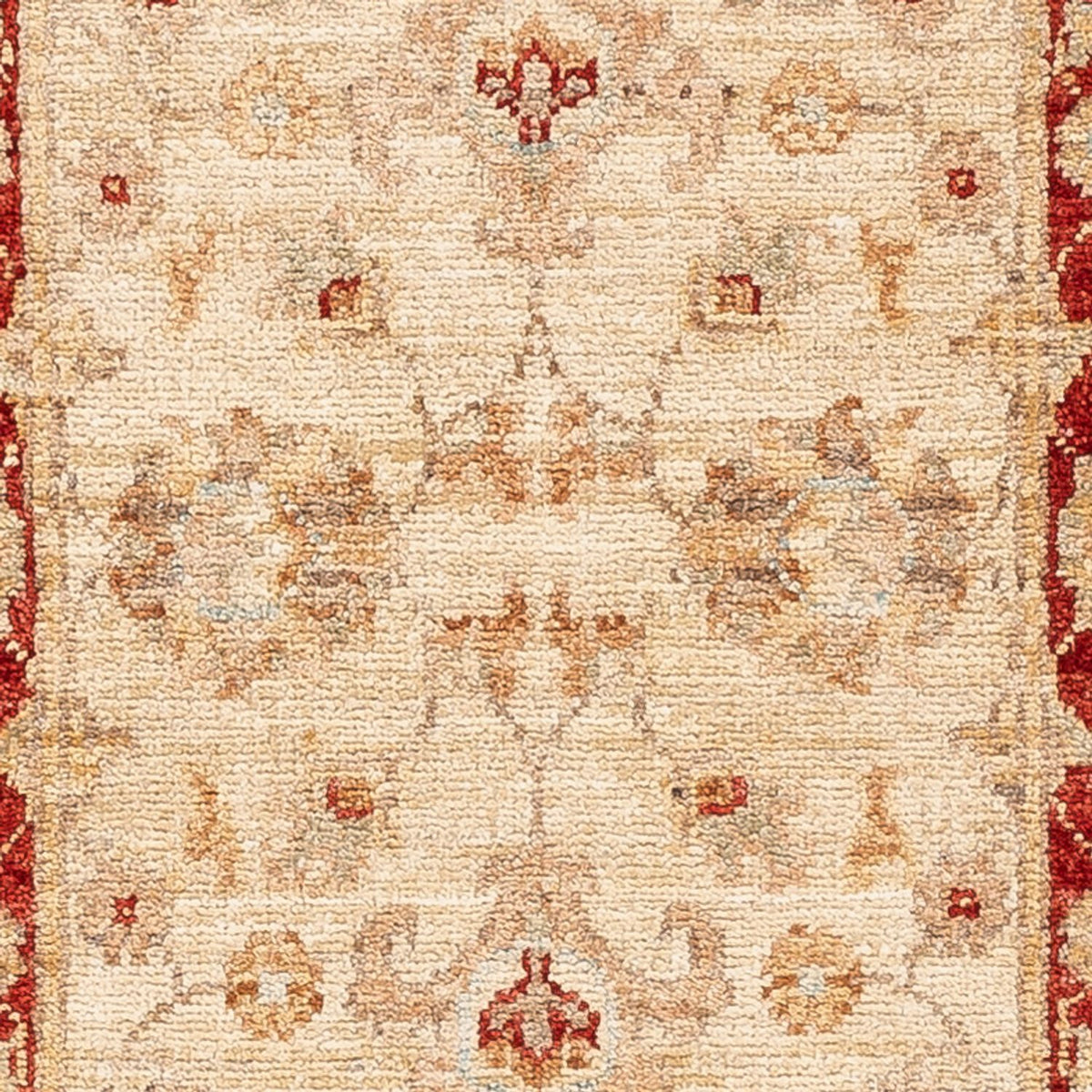 Runner Ziegler Carpet - 153 x 50 cm - beige
