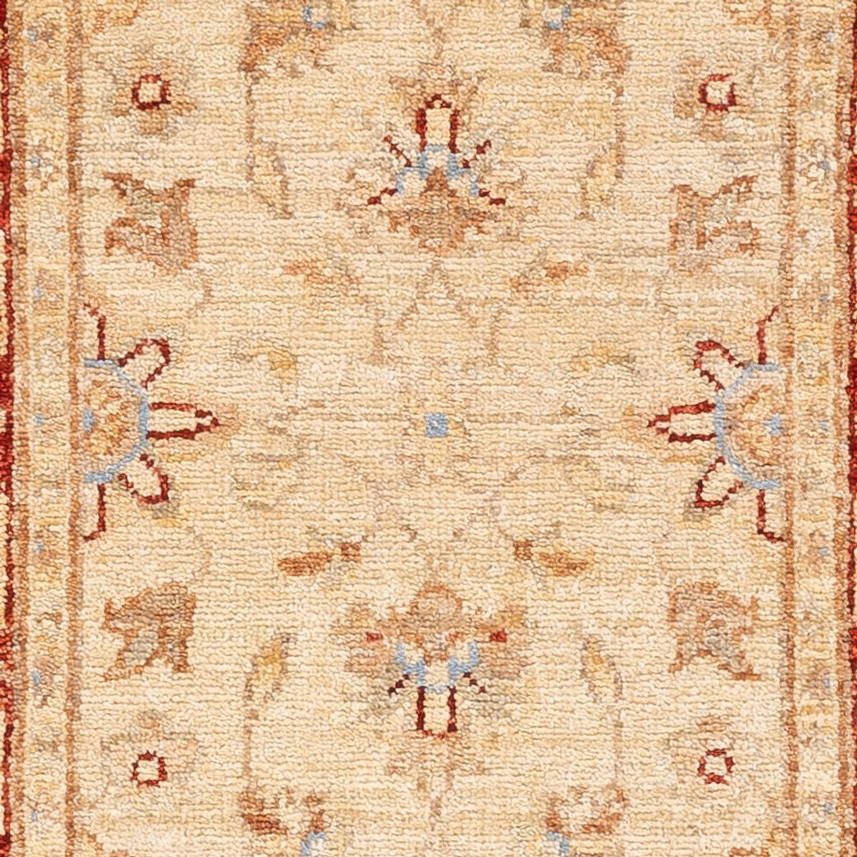 Runner Ziegler Carpet - 155 x 54 cm - beige