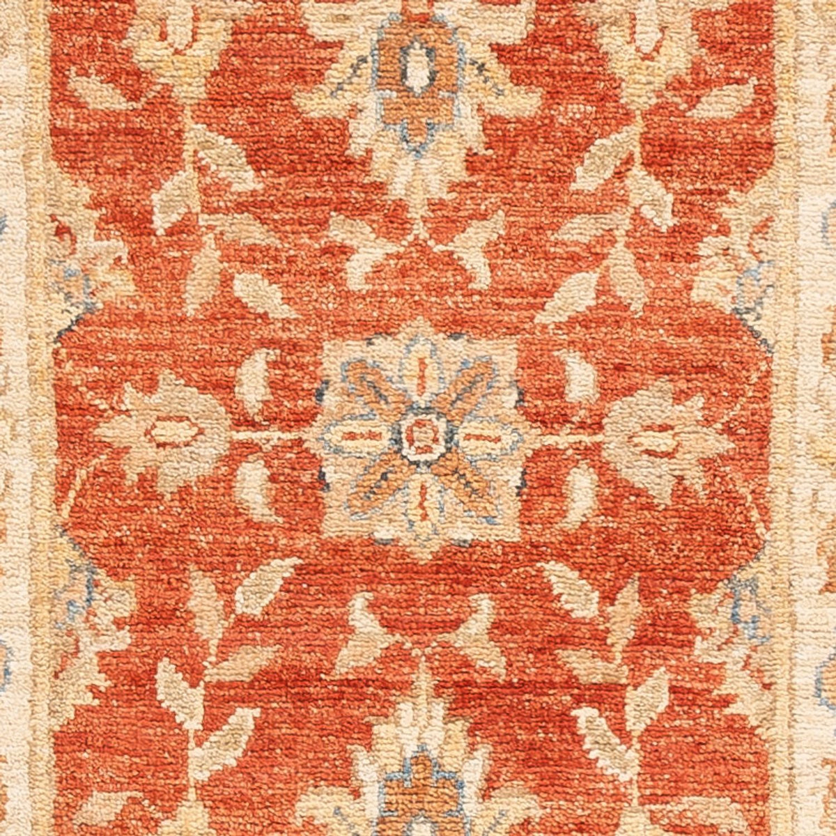 Runner Ziegler Carpet - 156 x 50 cm - röd
