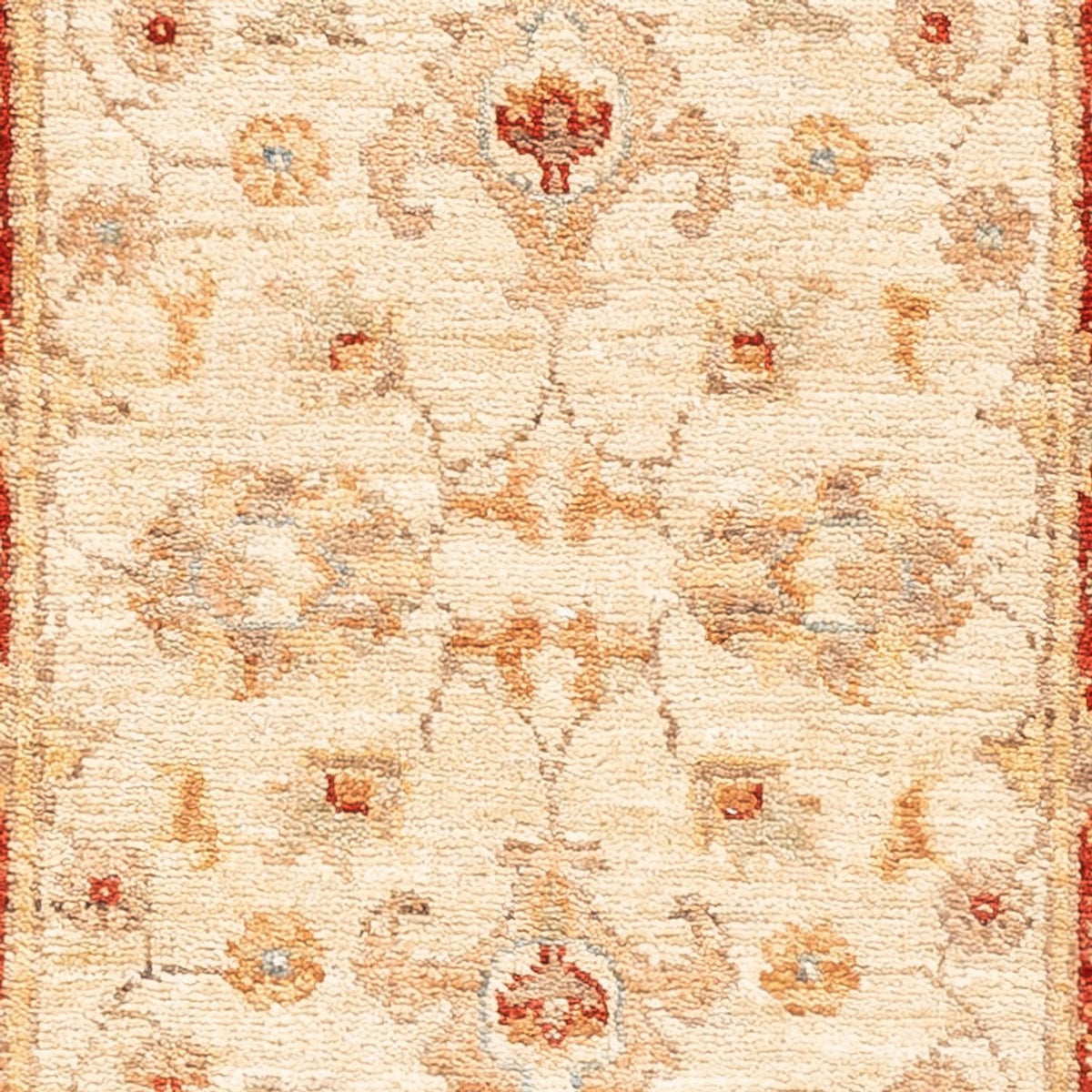 Runner Ziegler Carpet - 145 x 52 cm - beige