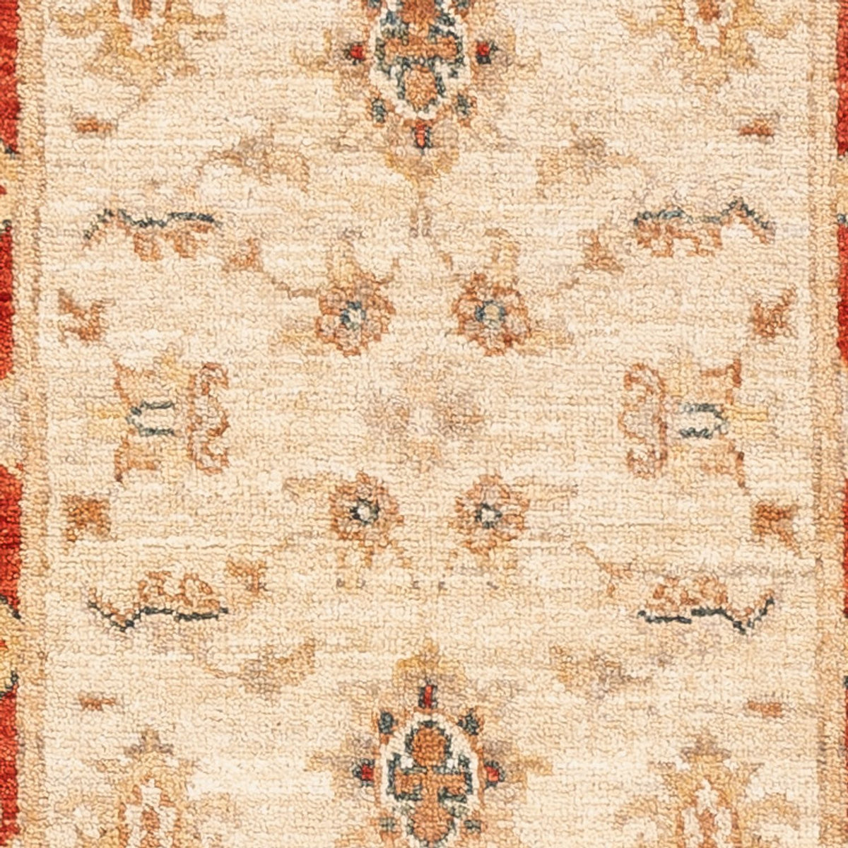 Runner Ziegler Carpet - 153 x 53 cm - beige