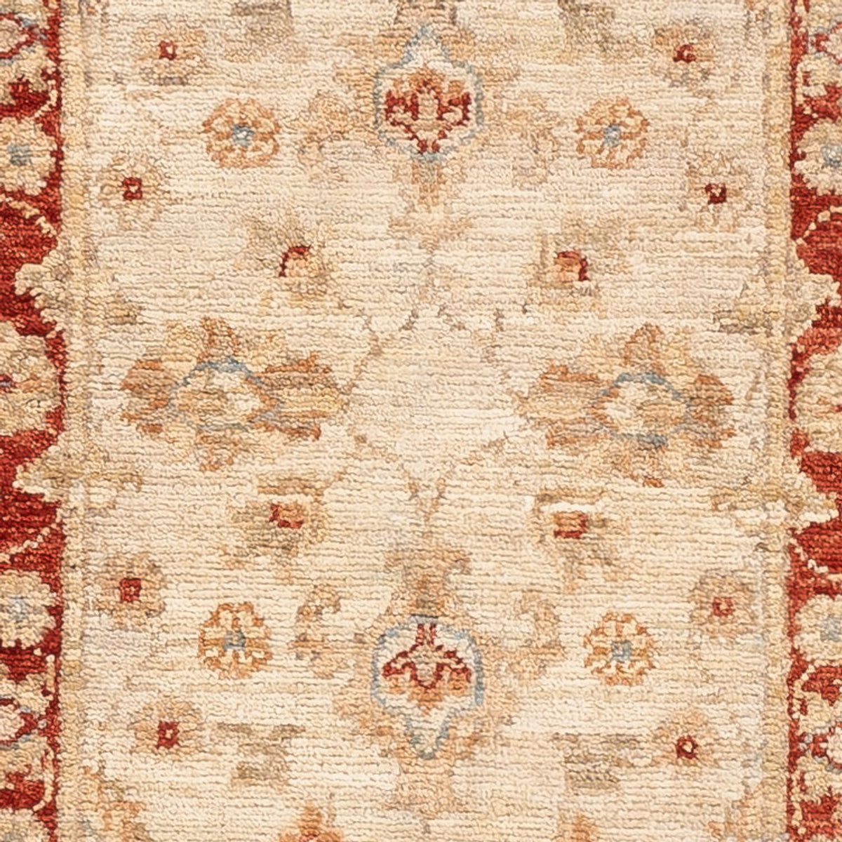 Runner Ziegler Carpet - 150 x 48 cm - beige