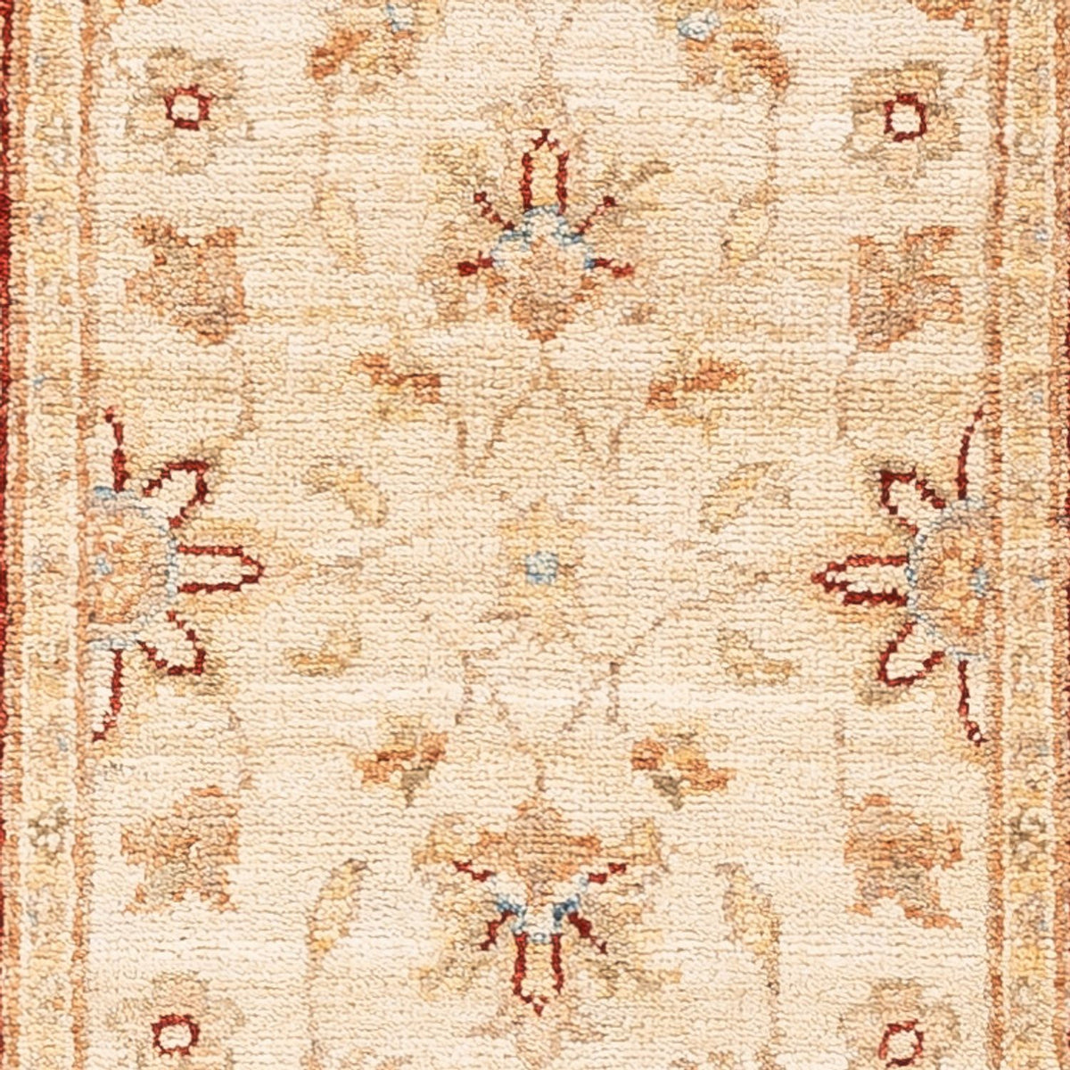 Runner Ziegler Carpet - 146 x 54 cm - beige