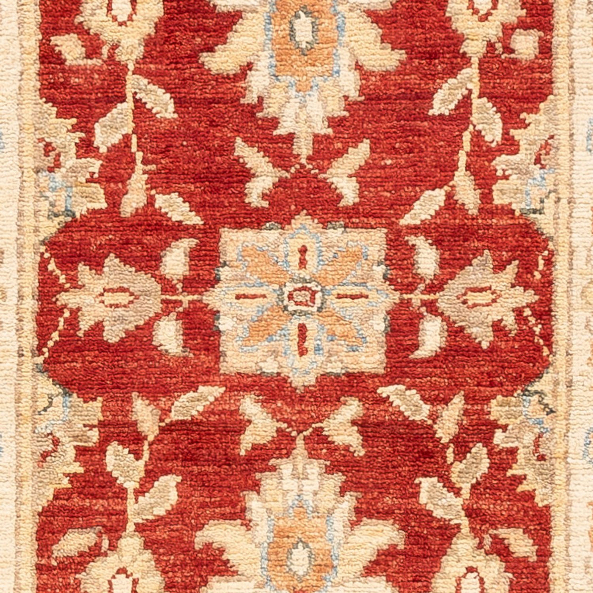 Runner Ziegler Carpet - 150 x 49 cm - röd